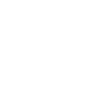 Vinci